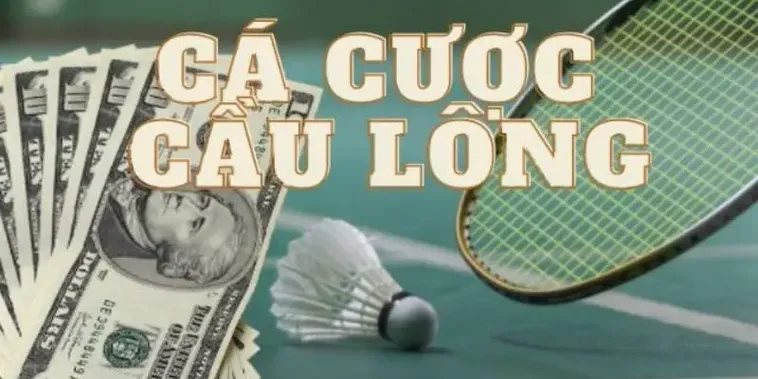 Hướng Dẫn Chơi Cá Cược Cầu Lông Tại 789Win Một Cách Hiệu Quả